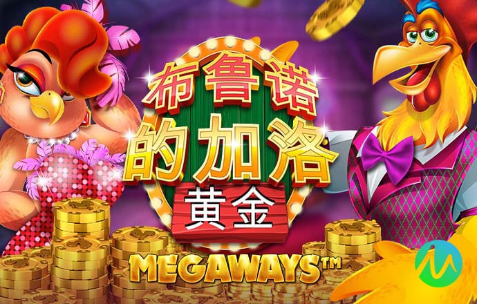 星空体育综合登录入口